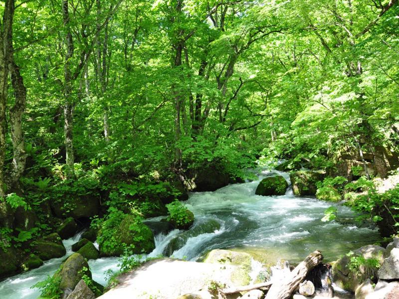 Towadako Sanso Hotel Kazuno Esterno foto